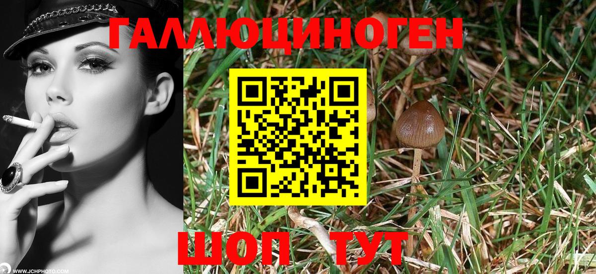 Псилоцибиновые грибы MAGIC MUSHROOMS Миасс